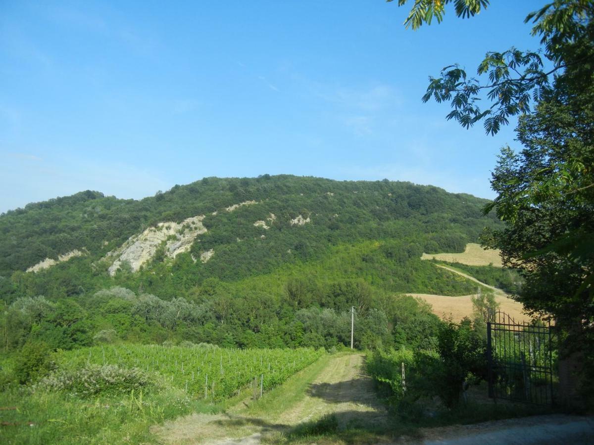 La Colombarola Agriturismo Villa Farneto Exterior photo